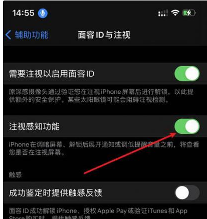 马鞍山苹果14维修网点分享iPhone14注视感知功能有什么用 