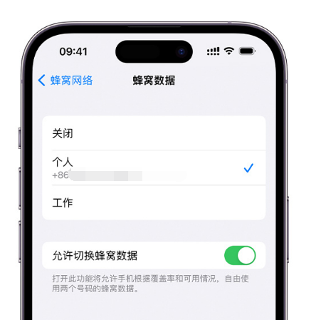 马鞍山苹果维修服务分享如何在iPhone上使用双卡 